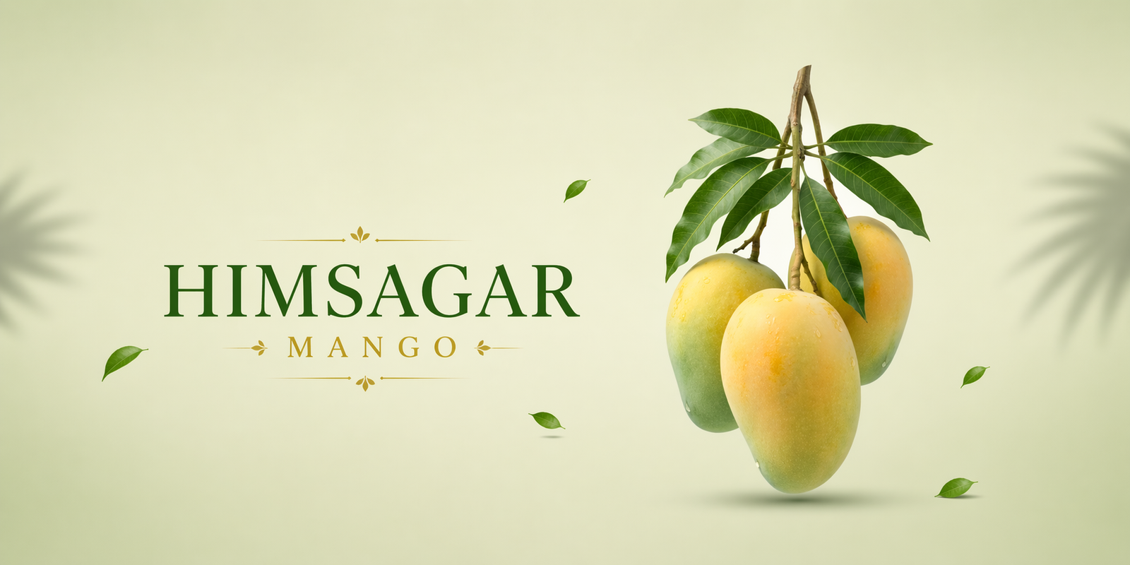 Himsagar Mango
